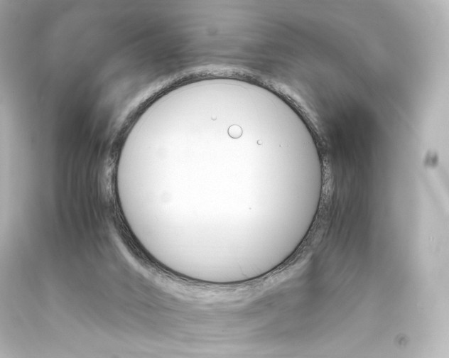 X0000094360016200711021346