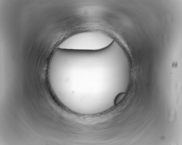 X0000094360018200711021346