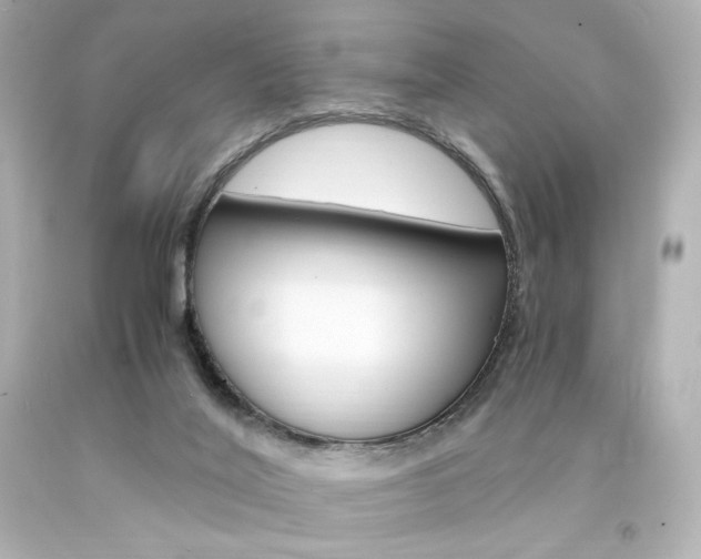 X0000094360020200711021346