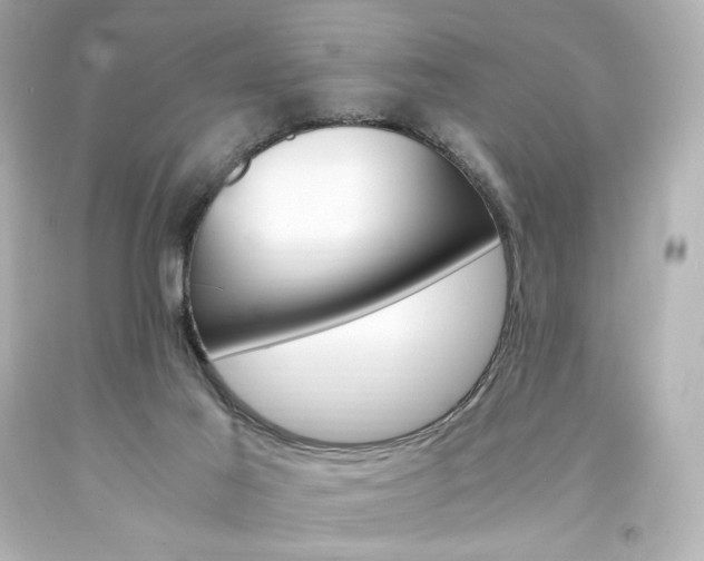 X0000094360021200711021346