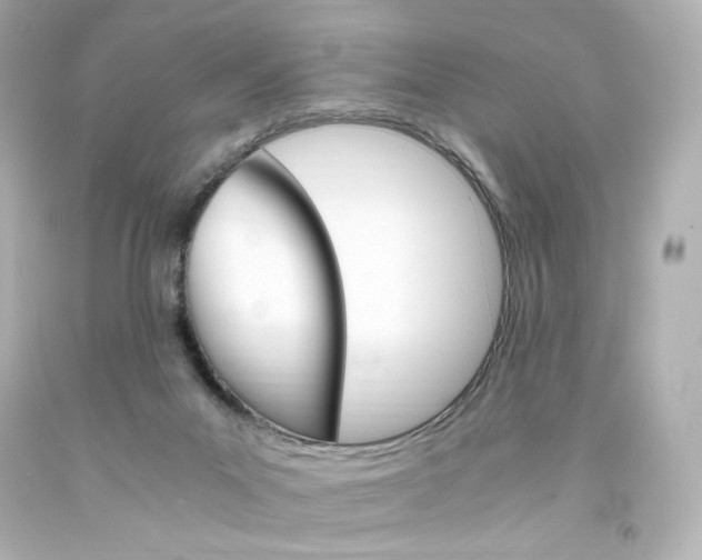 X0000094360023200711021346