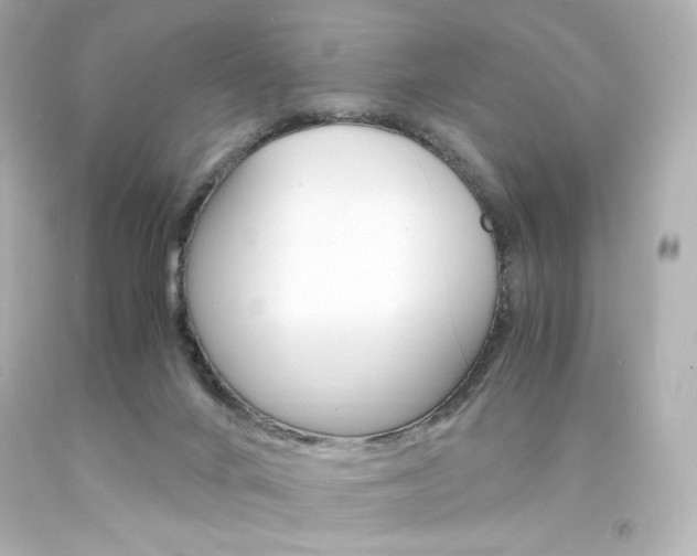 X0000094360024200711021346