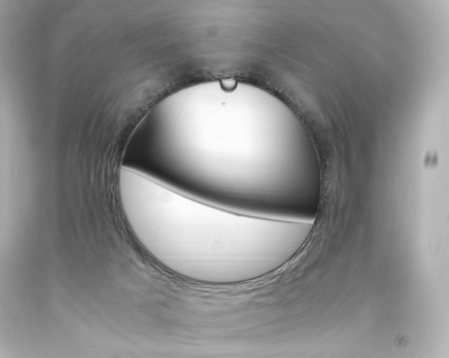 X0000094360025200711021346