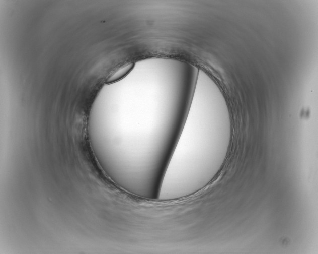 X0000094360029200711021346
