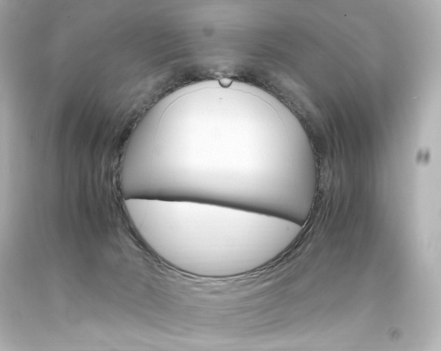 X0000094360030200711021346