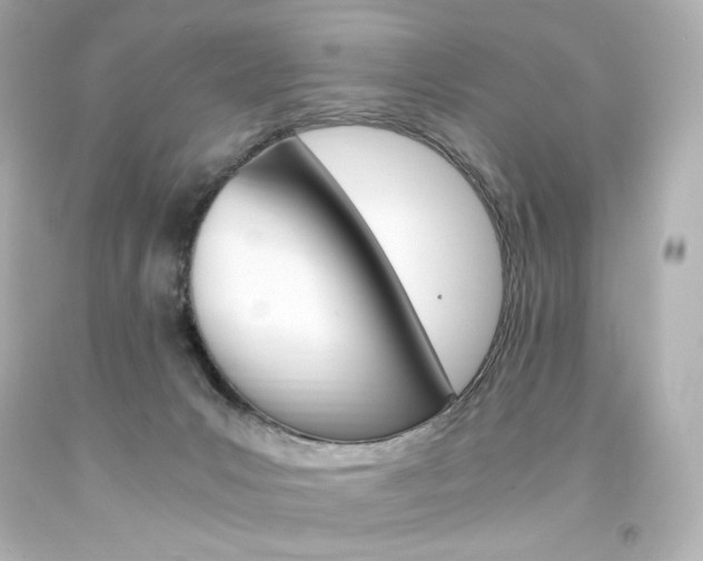 X0000094360031200711021346