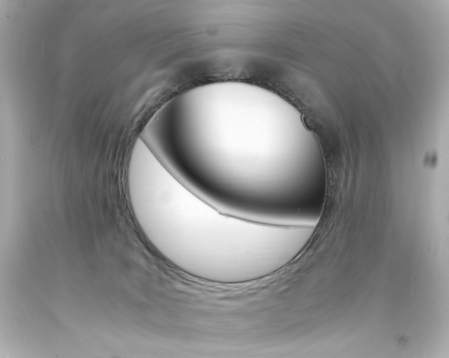 X0000094360035200711021346
