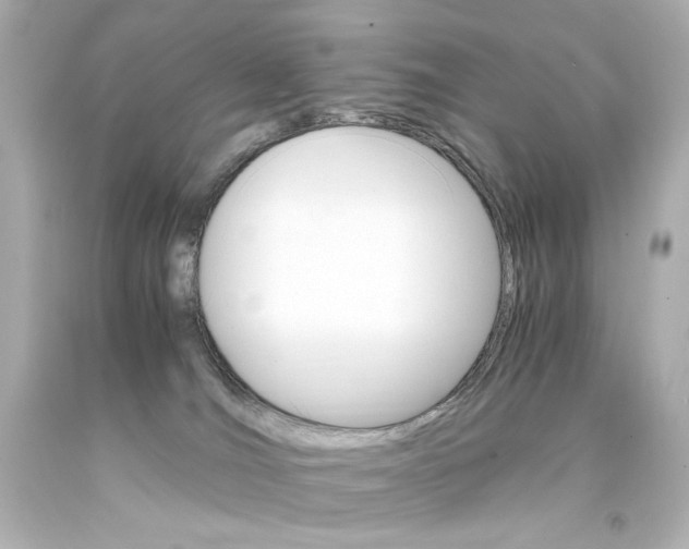 X0000094360036200711021346