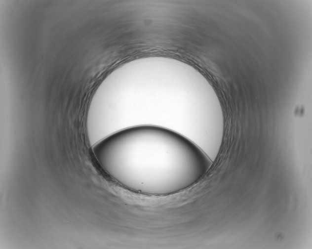 X0000094360039200711021346
