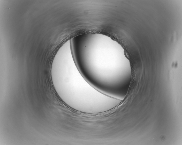 X0000094360041200711021346