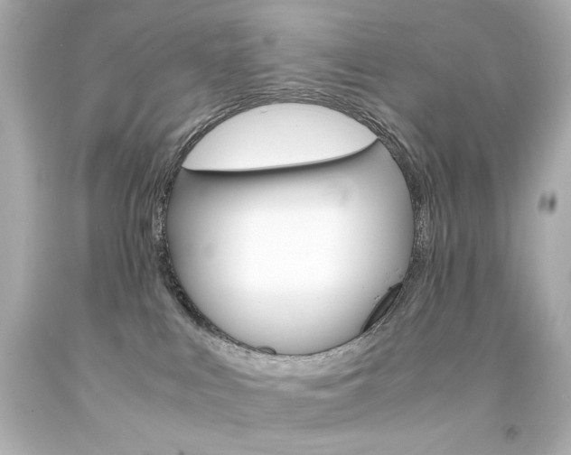 X0000094360043200711021346