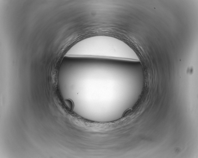 X0000094360044200711021346
