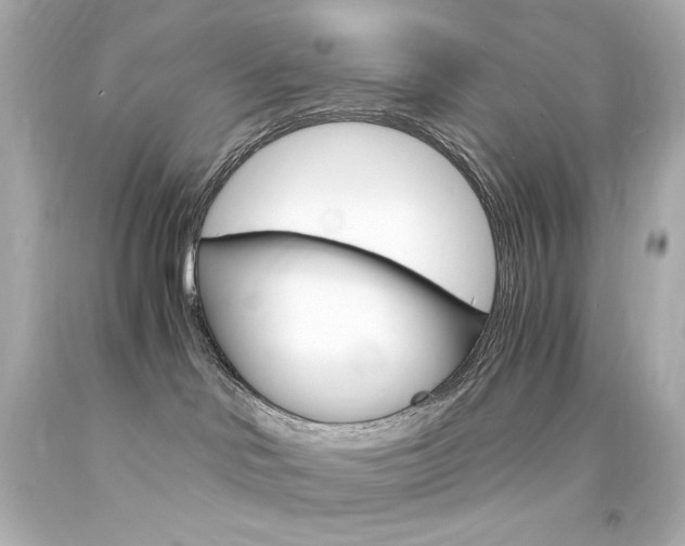 X0000094360046200711021346