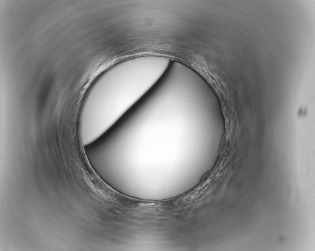 X0000094360050200711021345