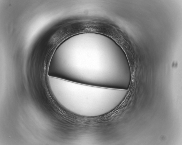 X0000094360052200711021345