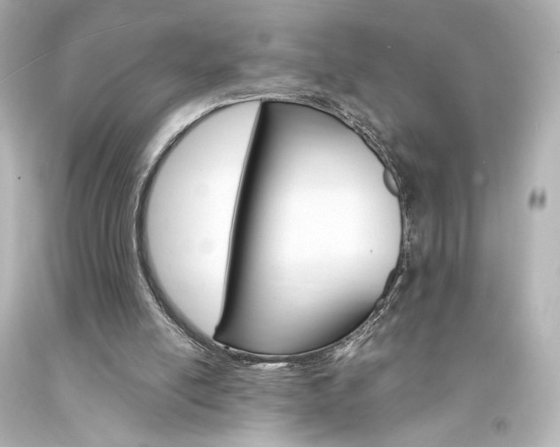 X0000094360054200711021345