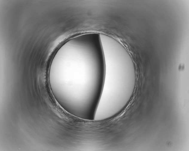 X0000094360056200711021345