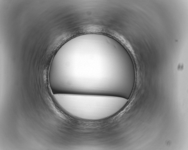 X0000094360057200711021345