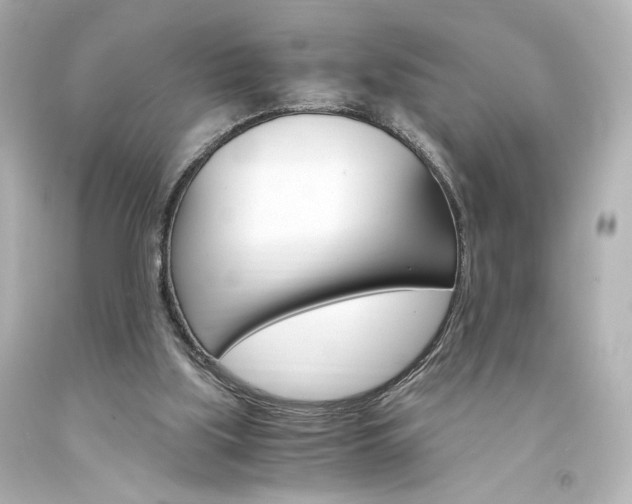 X0000094360059200711021345