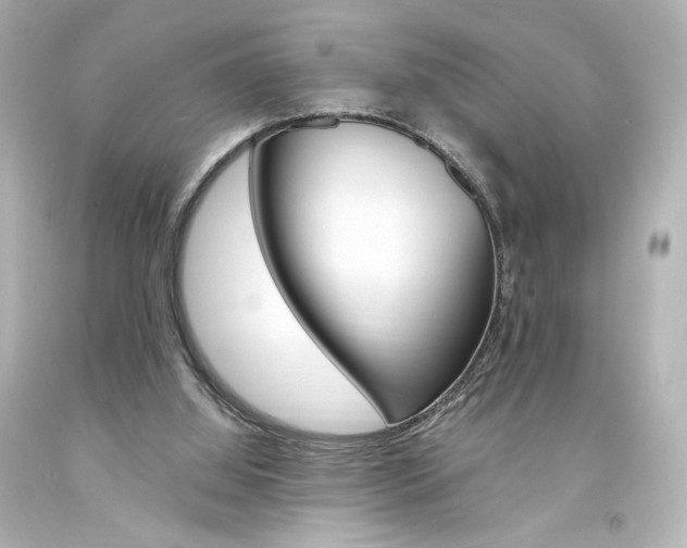 X0000094360060200711021345