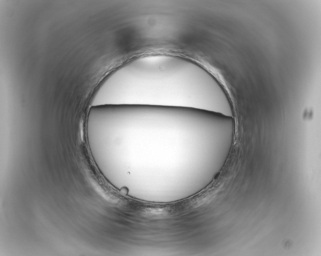 X0000094360061200711021345