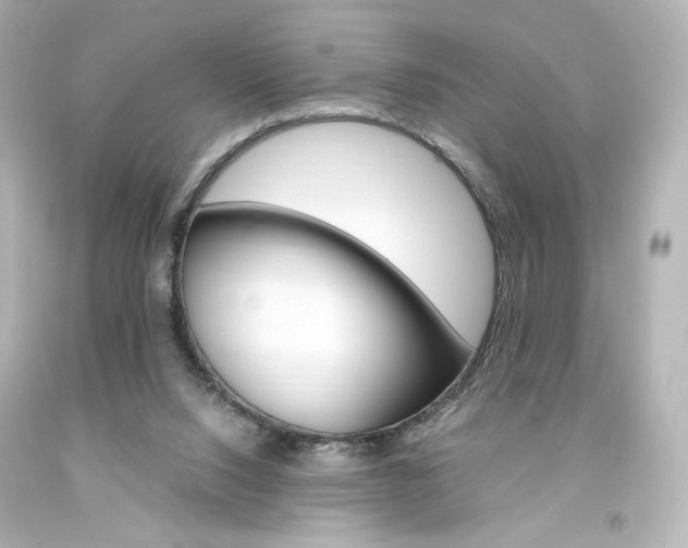 X0000094360064200711021345