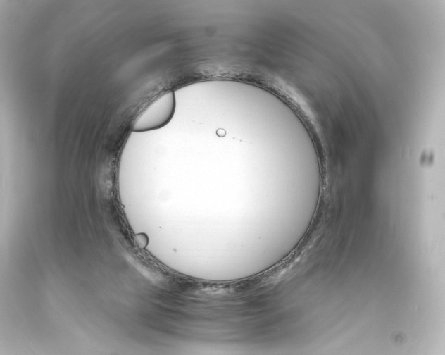 X0000094360065200711021345