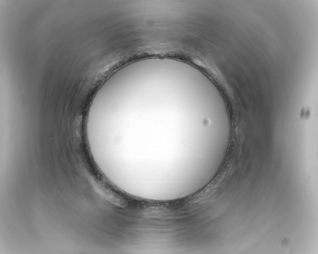 X0000094360066200711021345