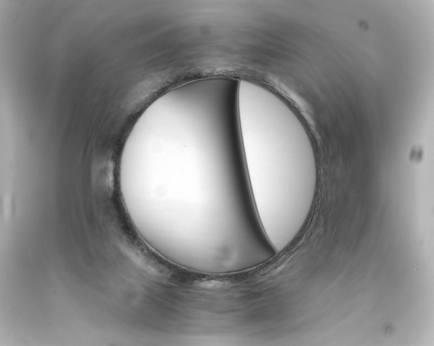 X0000094360067200711021346