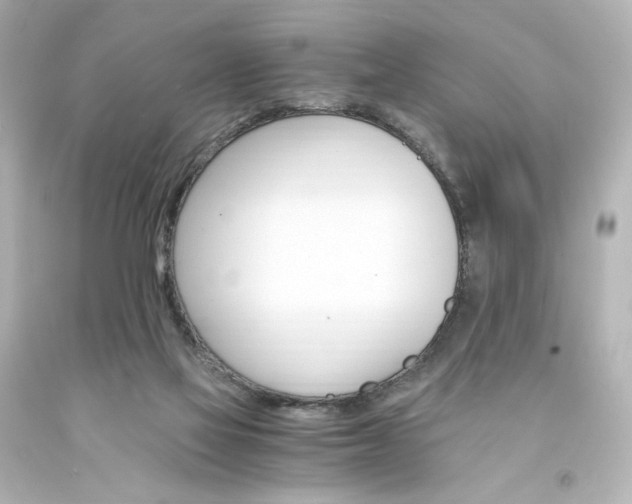 X0000094360069200711021346