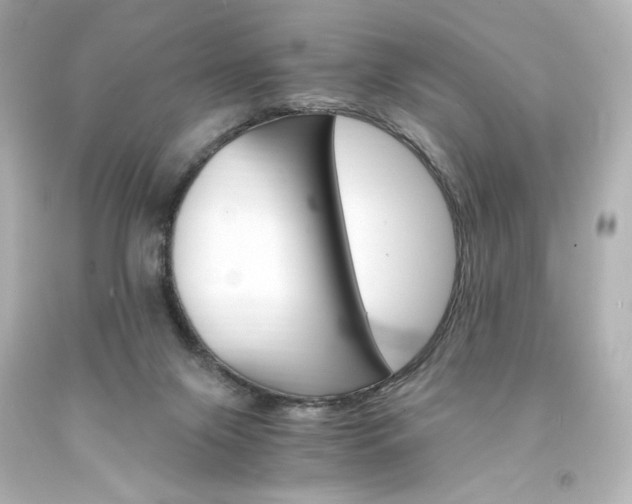 X0000094360071200711021346