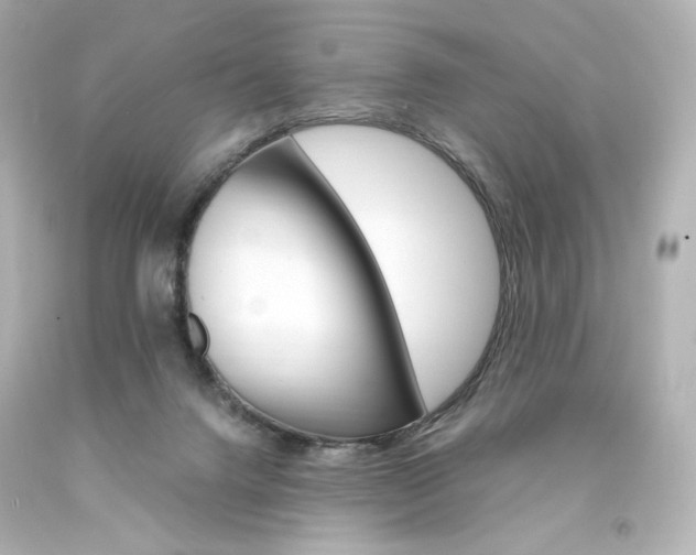 X0000094360072200711021346