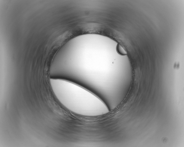 X0000094360073200711021346