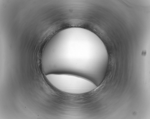 X0000094360074200711021346