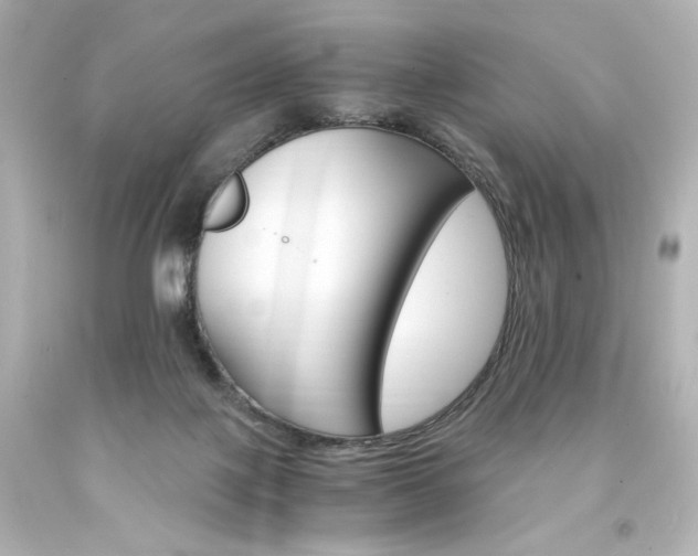 X0000094360075200711021346