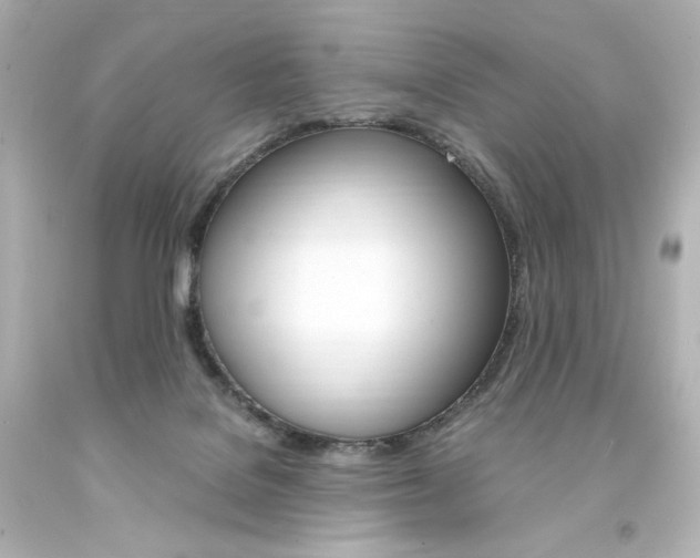 X0000094360076200711021346
