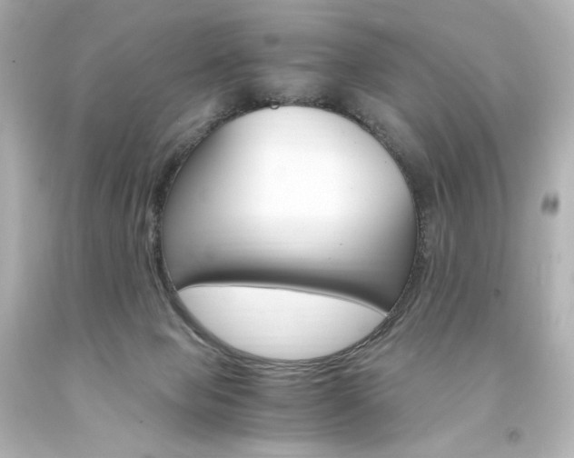 X0000094360077200711021346