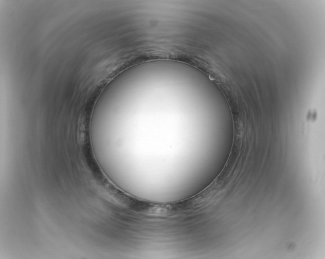 X0000094360080200711021346