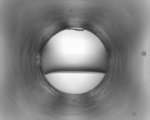 X0000094360081200711021346