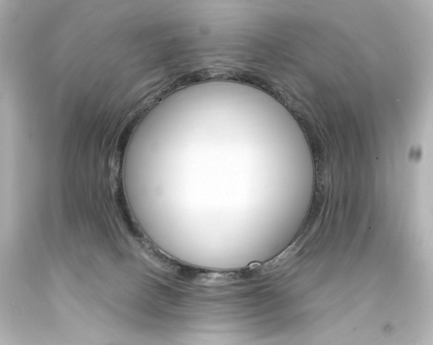 X0000094360082200711021346