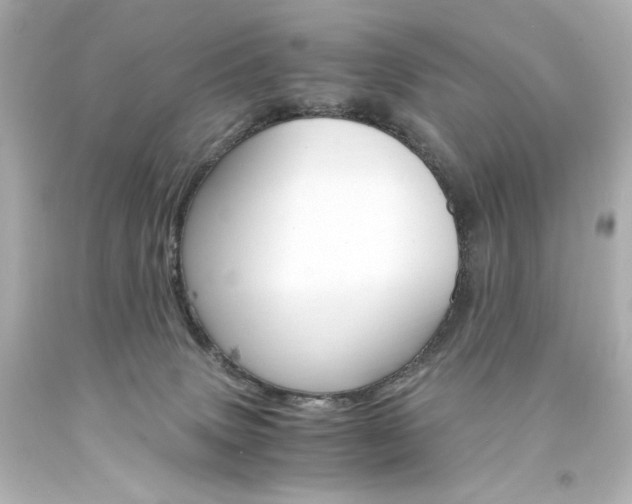 X0000094360083200711021346