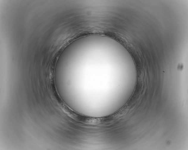X0000094360084200711021346