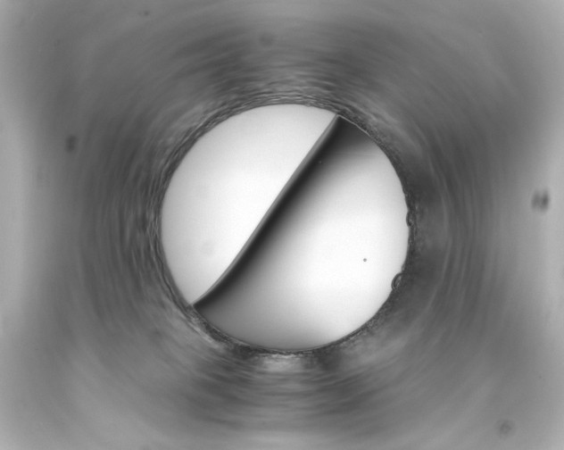 X0000094360085200711021346