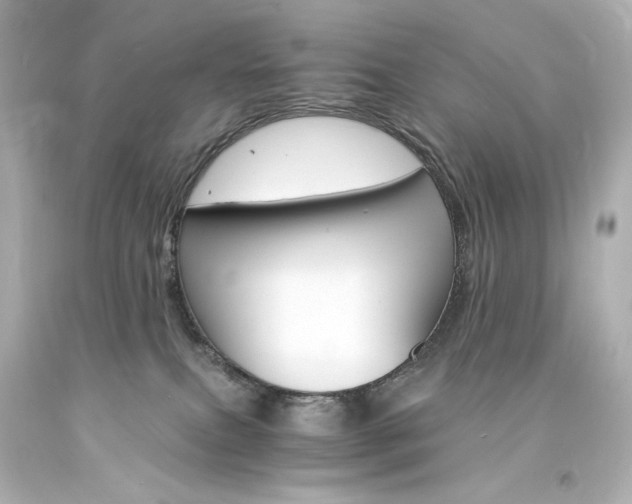 X0000094360087200711021346