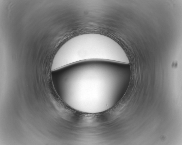 X0000094360088200711021346