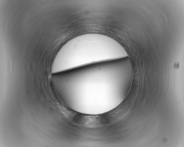 X0000094360089200711021346