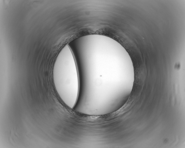 X0000094360090200711021346