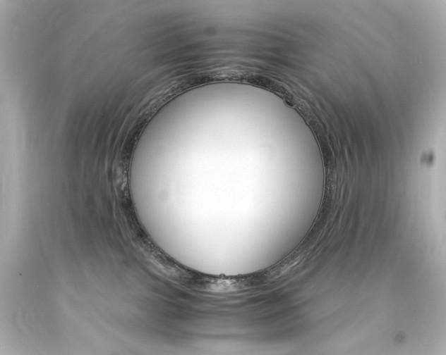 X0000094360091200711021346