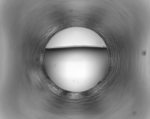 X0000094360093200711021346