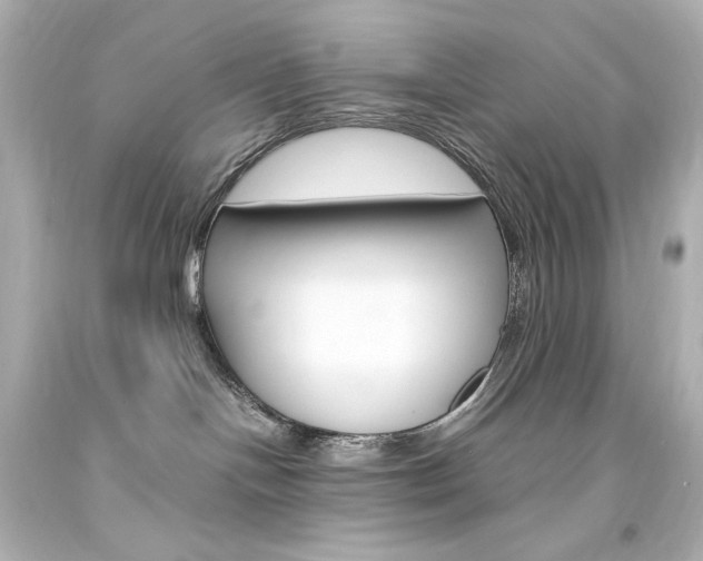 X0000094360094200711021346